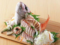 ���h �i�J�����@�����������y���� ���ӂ���̖��ł����ĂȂ�